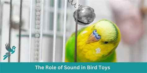 do parakeets prefer melodies over static noise?